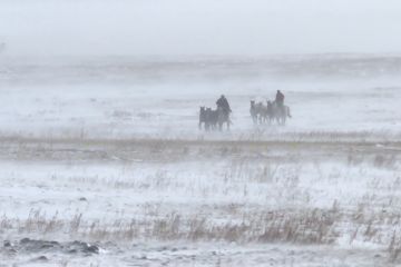 Cuaca dingin ekstrem landa 10 provinsi di Mongolia