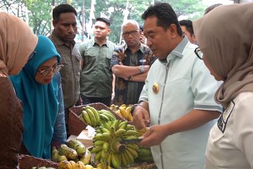 Gencarkan budi daya pisang, Pj Gubernur Sulsel edukasi ribuan penyuluh