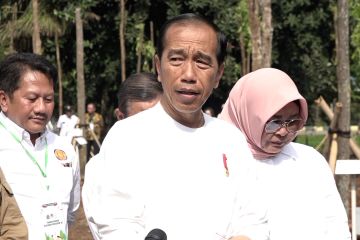 Jokowi ajak masyarakat tanam pohon memasuki musim hujan