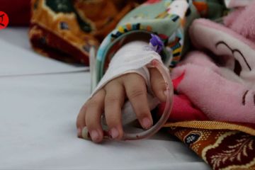 Kasus DBD di Kalbar melonjak, ribuan pasien dirawat intensif