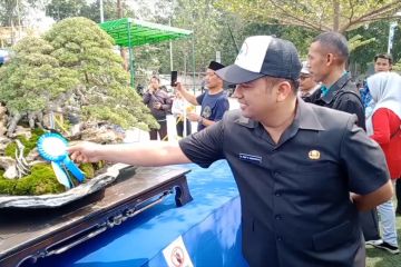 Pameran bonsai nasional di Kota Tangerang diikuti 483 peserta