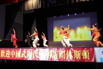 Timnas Wushu China suguhkan pertunjukan di Houston