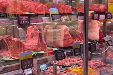 Italia berlakukan larangan terhadap daging budi daya laboratorium