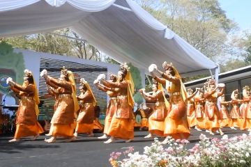 Tari zapin rodat jadi kesenian baru Sumsel usai tampil di Istana