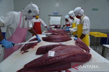 KKP sebut produksi tuna dalam negeri terus meningkat hingga 2021