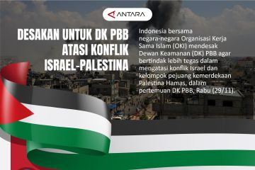 Desakan untuk DK PBB atasi konflik Israel-Palestina