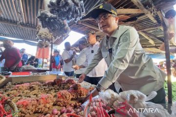 Wamentan tinjau pasokan komoditas pangan di Pasar Wosi Manokwari