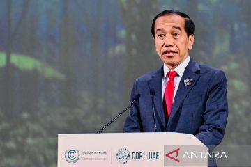 Jokowi paparkan langkah Indonesia capai penyerapan karbon hutan