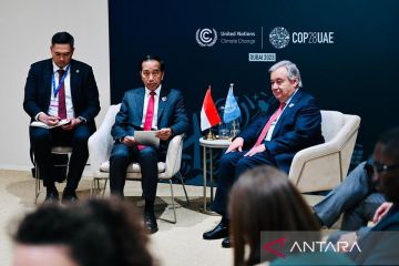 Presiden Joko Widodo dukung peran PBB menjalankan aksi iklim