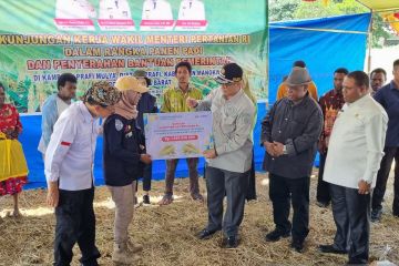 Wamentan serahkan bantuan alsintan ke petani Manokwari