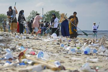 Aksi bersih-bersih pantai di Pulau Lae-lae