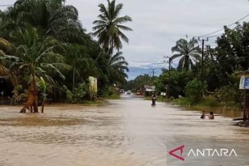 Lima desa di Nagan Raya dilanda banjir