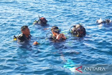 Kaesang tanam terumbu karang di Bangsring Underwater Banyuwangi