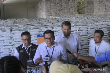 Bapanas pastikan stok pangan di seluruh Indonesia aman