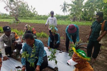 Pemprov Papua: Sensus Pertanian 2023 jadi pedoman perumusan kebijakan