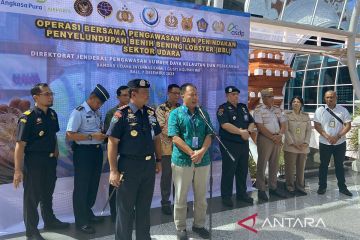 Bandara Ngurah Rai tegaskan komitmen cegah penyelundupan benih lobster