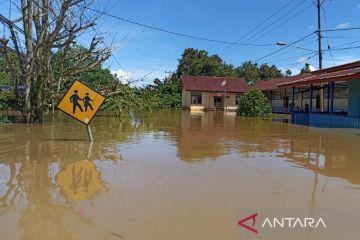 BPBD: 25.263 jiwa penduduk Kapuas Hulu terdampak banjir