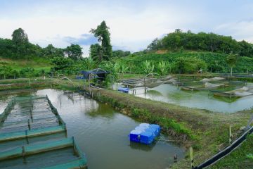 ESDM: kegiatan pascatambang penting untuk kesejahteraan masyarakat