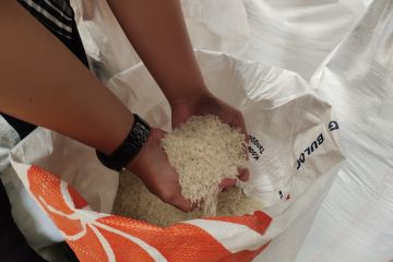 Realisasi bantuan pangan beras di Lampung tahap II capai 24.474 ton