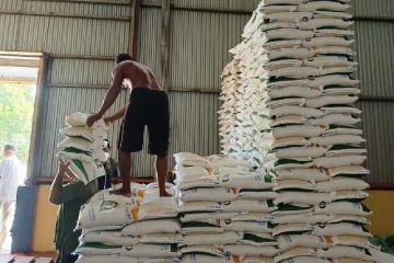Bulog Putussibau siapkan 12 ton beras untuk pasar murah