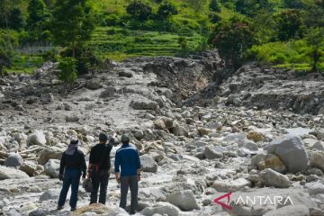 DLHK: Penanaman bambu di Humbang Hasundutan sebagai pemulihan alam