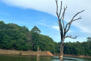 GEOPARK MERATUS - Situs Pohon Ba'ah