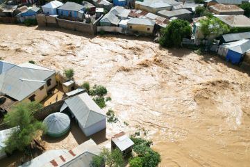 FAO teken  44 juta dolar AS untuk  mitigasi bencana di Somalia