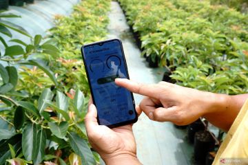Membangun desa dalam dunia tanpa batas