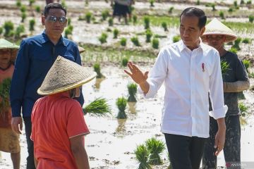 Presiden meninjau tanam padi dan berdialog dengan petani di Kabupaten Pekalongan