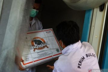 Bulog kekurangan stok daging sapi di Kendari