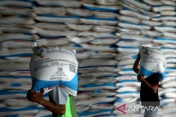 1.077 distributor salurkan pupuk subsidi perkuat produksi pangan 2024