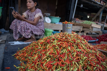 Harga cabai terus naik di Palu