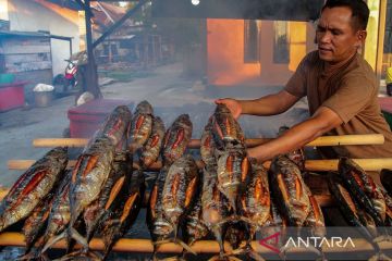 Mengintip pembuatan ikan Cakalang fufu di Pulau Bacan