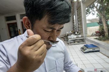 Teh terbaik ada di pucuknya