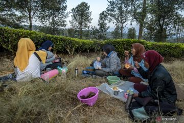 Teh terbaik ada di pucuknya