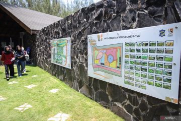 Pesona Kebun Raya Mangrove Surabaya