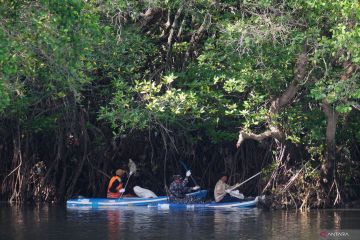 Aksi bersih hutan mangrove di Bali
