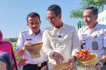 DKI panen cabai dan luncurkan pangan murah jelang akhir tahun