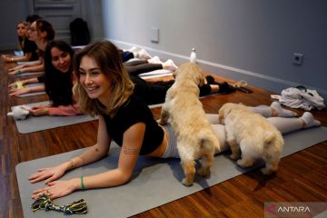 Kelas yoga ceria bersama puppies di Paris