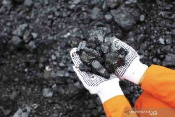Kemenko Marves cegah kebocoran batu bara-CPO melalui Simbara-Siperibun