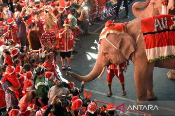 Gajah dan pelatih berkostum Sinterklas bagikan hadiah untuk promosi wisata Ayutthaya