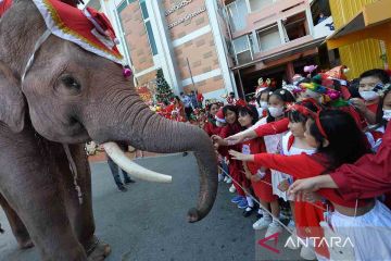 Album Asia: Sambut Natal, Gajah bagikan hadiah ke pelajar di Thailand