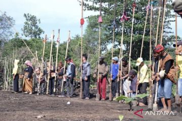 Tapin Kalsel lestarikan "Manugal Banih Patawungan" Dayak Meratus