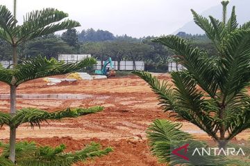 Menunggu capres peduli nasib konsultan