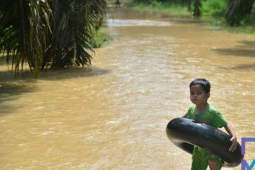 BPBD Riau salurkan makanan untuk empat daerah terdampak banjir