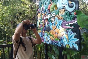 Bali Zoo catat pengunjung hingga 2.500 per hari libur Natal