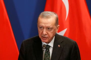 Netanyahu tak ada bedanya dengan Hitler, kata Erdogan