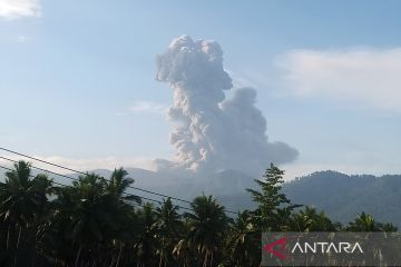 Gunung Dukono muntahkan abu vulkanik setinggi 2,8 kilometer pagi ini