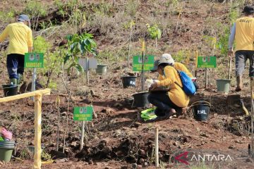 KLHK siapkan bibit bergenetik unggul untuk rehabilitasi hutan & lahan