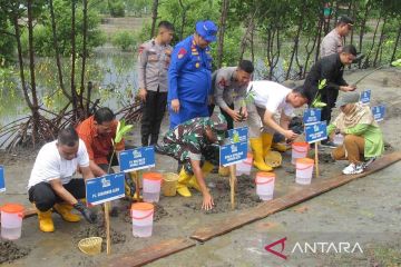 Pertamina tanam 10 ribu bibit mangrove di Aceh